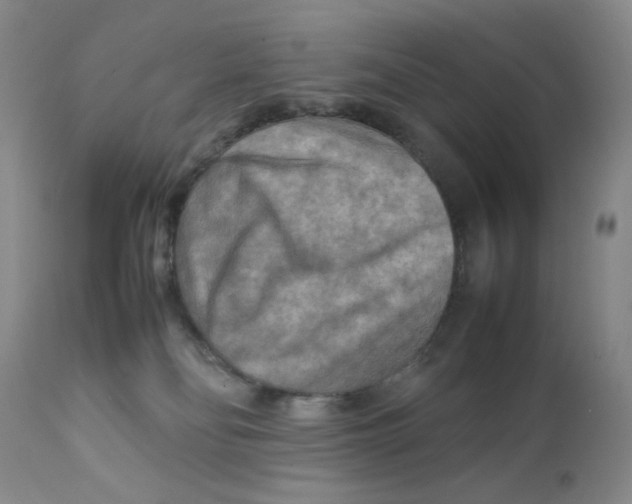 X0000111900134200908241012