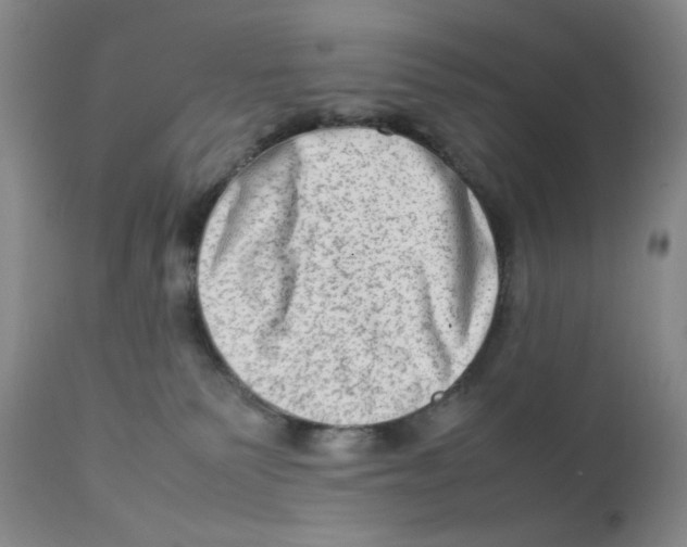 X0000111900135200908241012