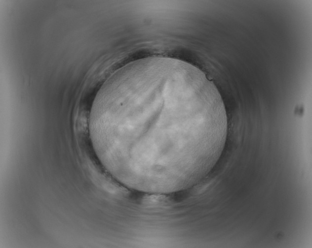 X0000111900137200908241012