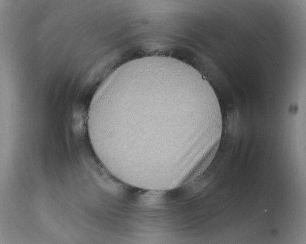 X0000111900138200908241012