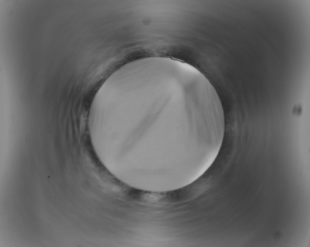 X0000111900139200908241012