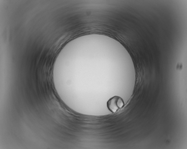 X0000111900140200908241012