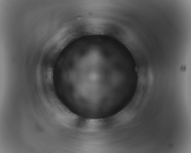 X0000111900141200908241012