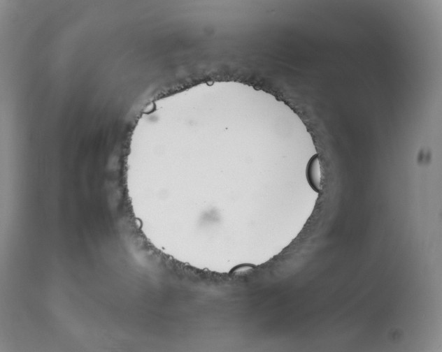 X0000111900144200908241012