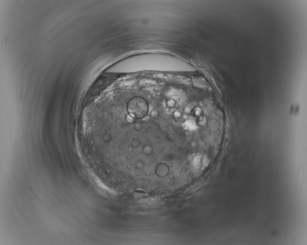 X0000111900145200908241011