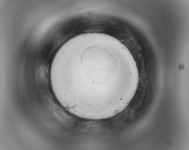 X0000111900146200908241011