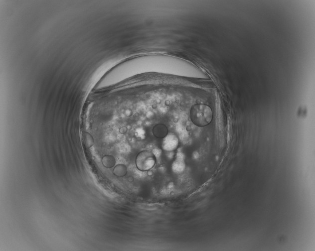 X0000111900147200908241011