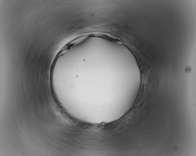 X0000111900148200908241011