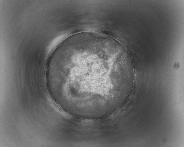 X0000111900149200908241011