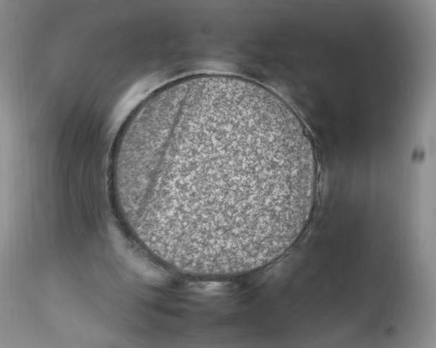 X0000111900151200908241011