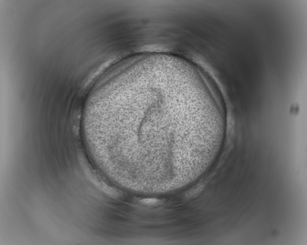 X0000111900153200908241011