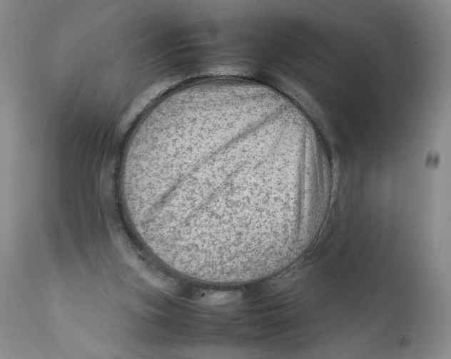 X0000111900155200908241011