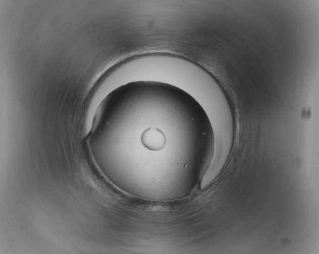 X0000111900156200908241011