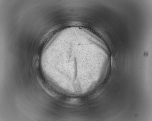 X0000111900157200908241011