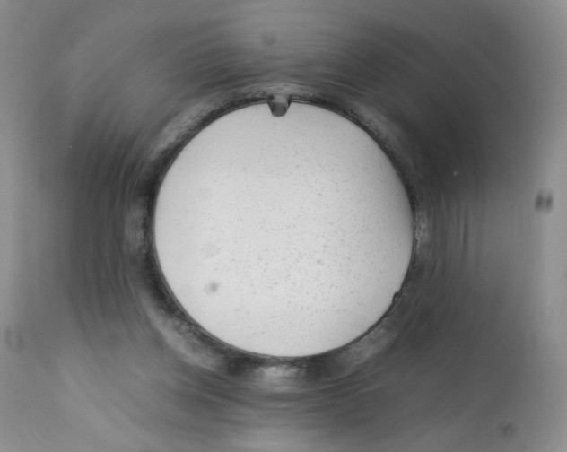 X0000111900158200908241011