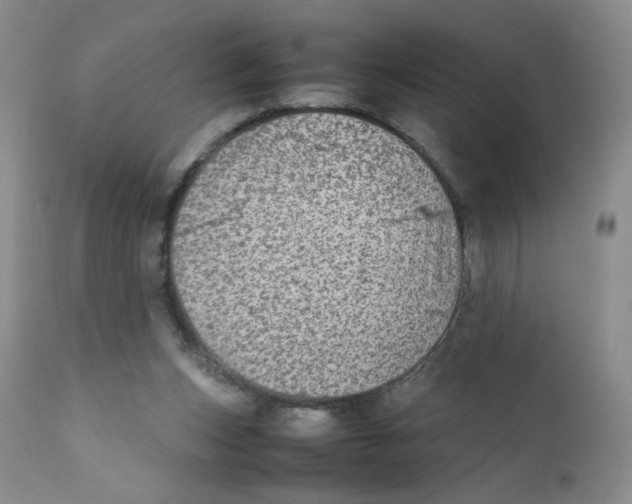 X0000111900159200908241011