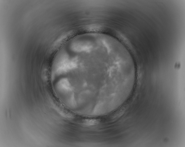 X0000111900161200908241011