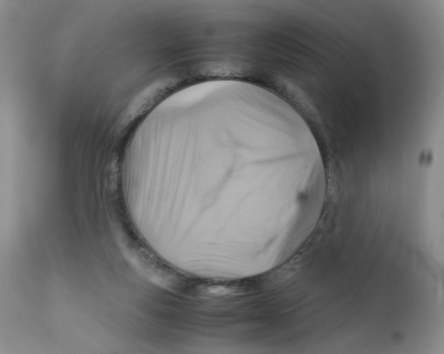 X0000111900163200908241011