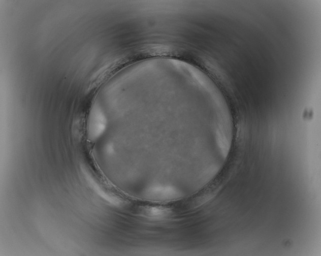 X0000111900165200908241011