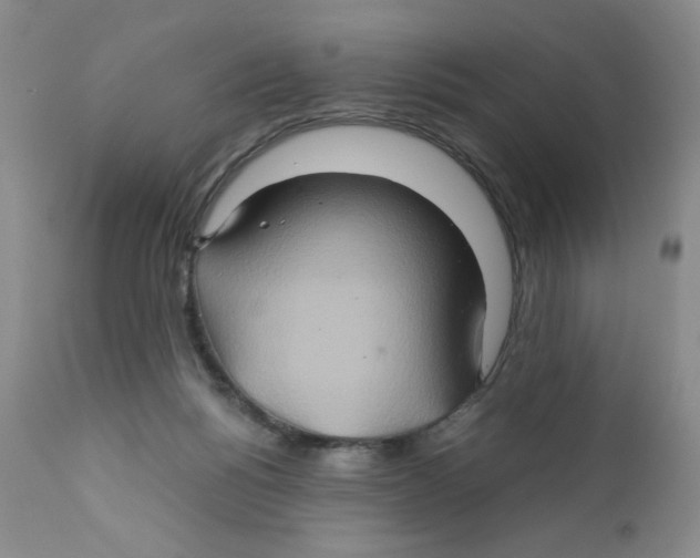 X0000111900168200908241011