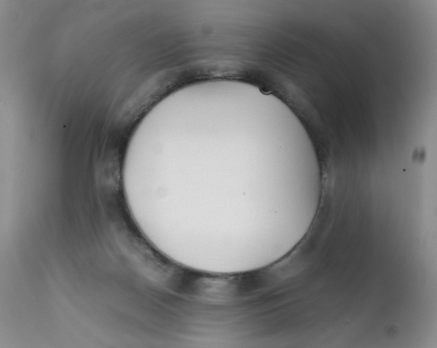 X0000111900170200908241011