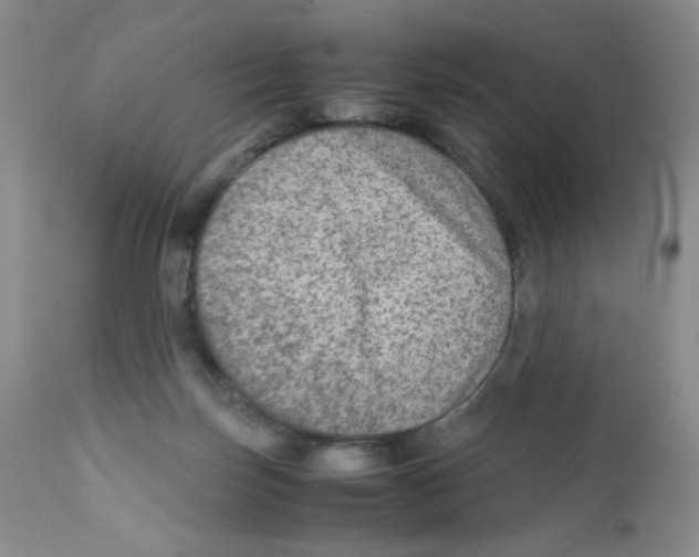 X0000111900171200908241011