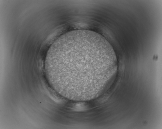 X0000111900173200908241011