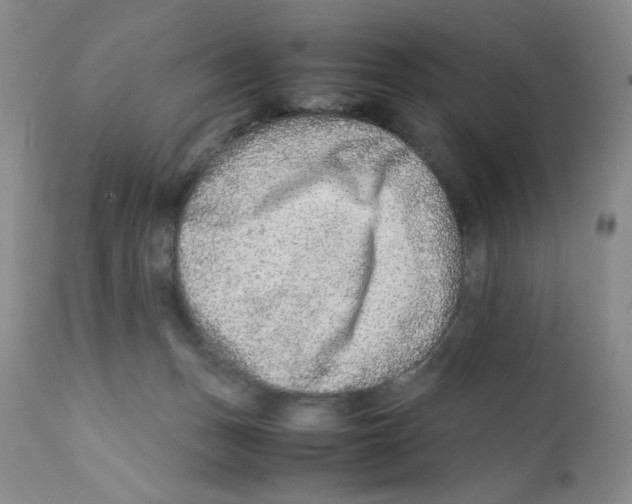 X0000111900175200908241011