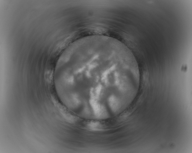 X0000111900177200908241011