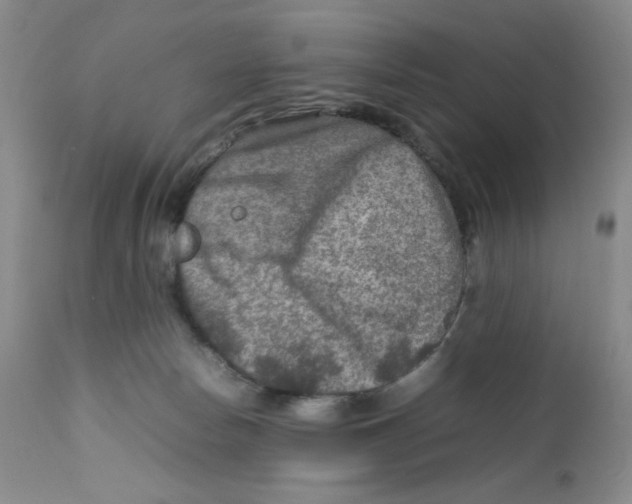 X0000111900178200908241011