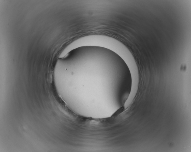 X0000111900180200908241012