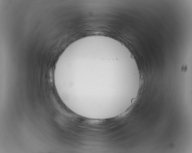 X0000111900182200908241012