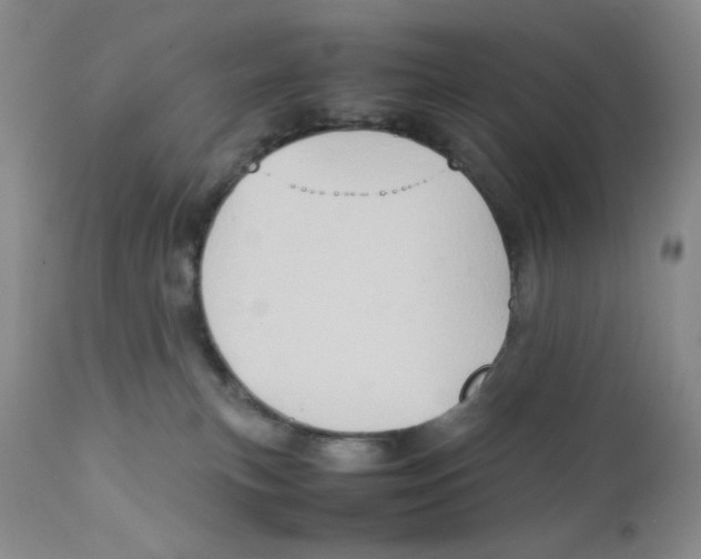 X0000111900183200908241012