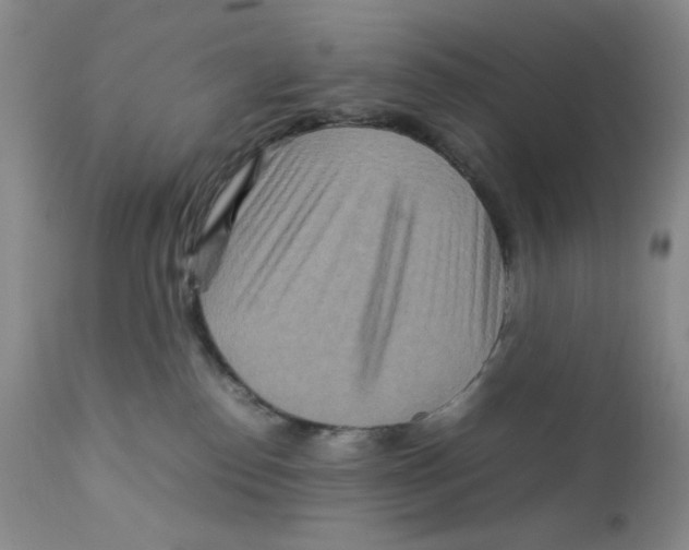 X0000111900186200908241012