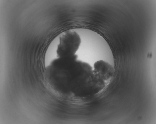 X0000111900187200908241012