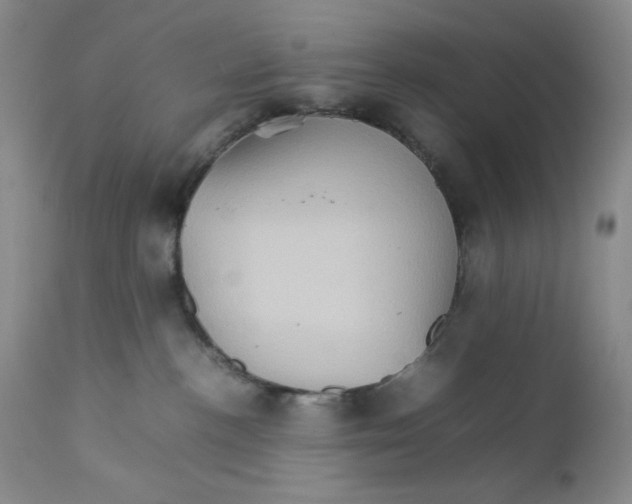 X0000111900188200908241012