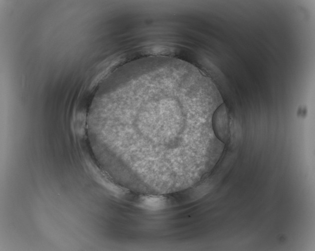 X0000111900189200908241012