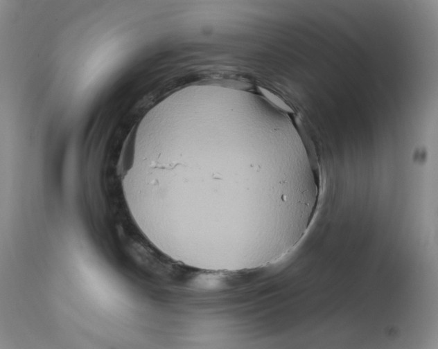 X0000111900190200908241012