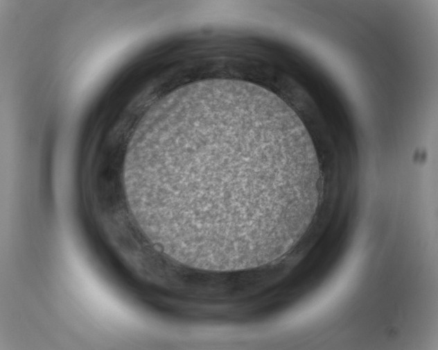 X0000111900191200908241012