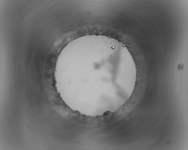 X0000111900192200908241012