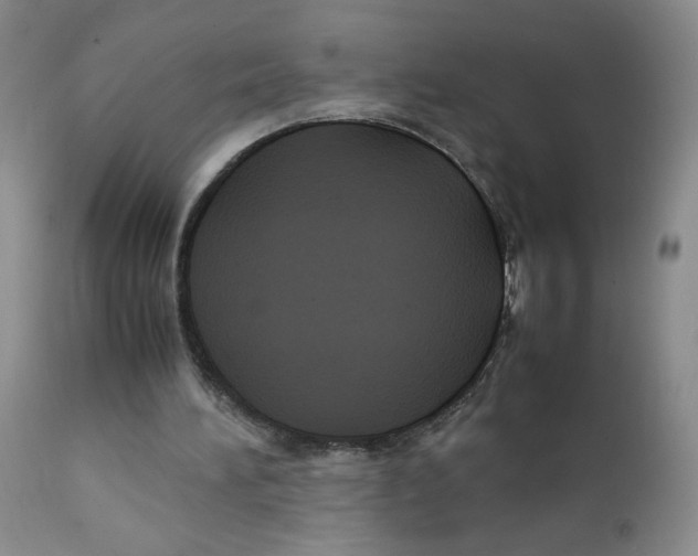 X0000111900196200908241011