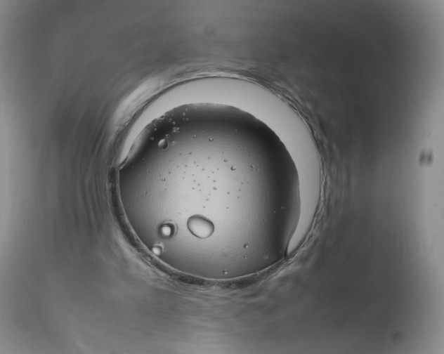 X0000111900197200908241011