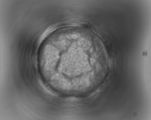 X0000111900198200908241011