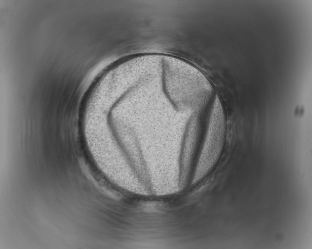 X0000111900200200908241011