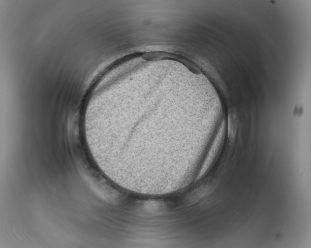 X0000111900204200908241011