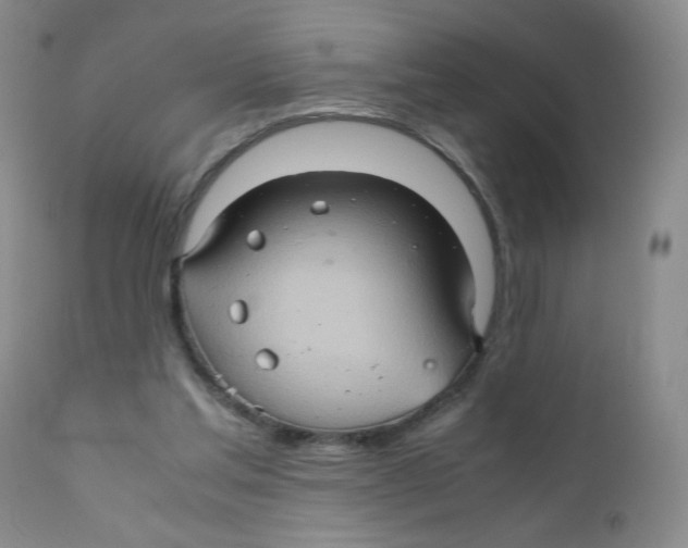 X0000111900205200908241011