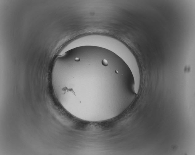 X0000111900207200908241011