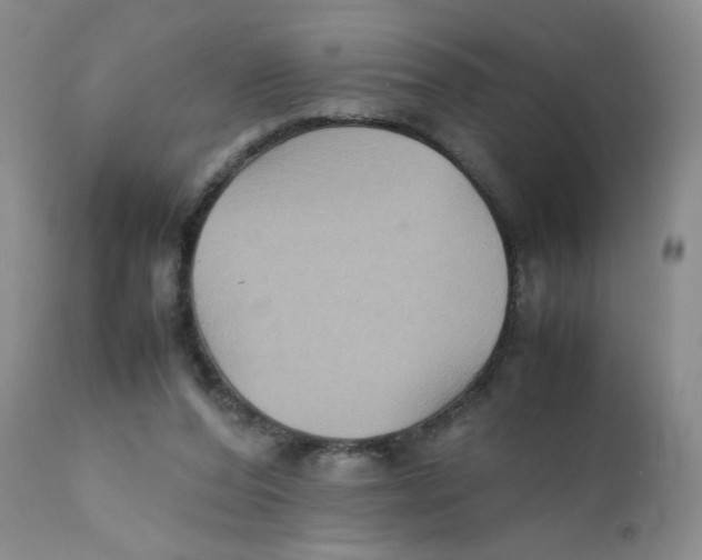 X0000111900208200908241011