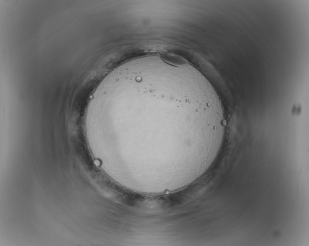 X0000111900209200908241011