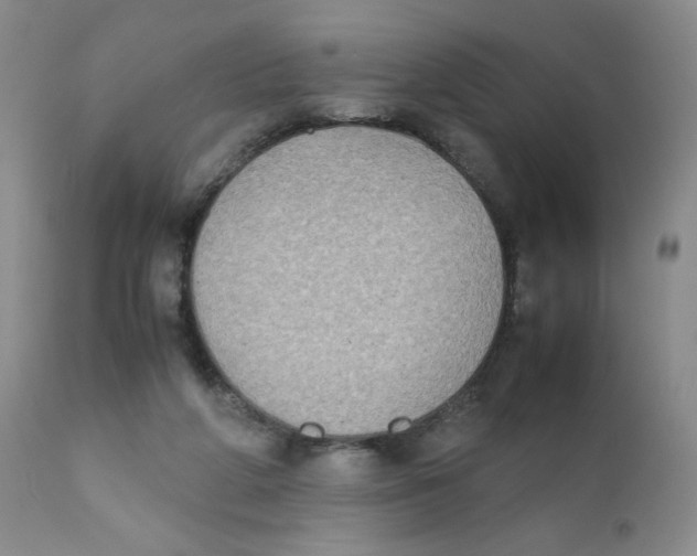 X0000111900210200908241011